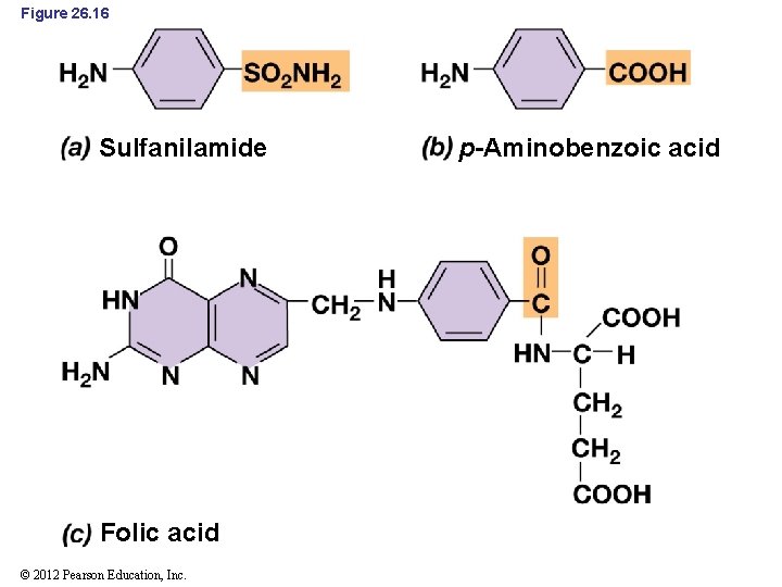 Figure 26. 16 Sulfanilamide Folic acid © 2012 Pearson Education, Inc. p-Aminobenzoic acid 