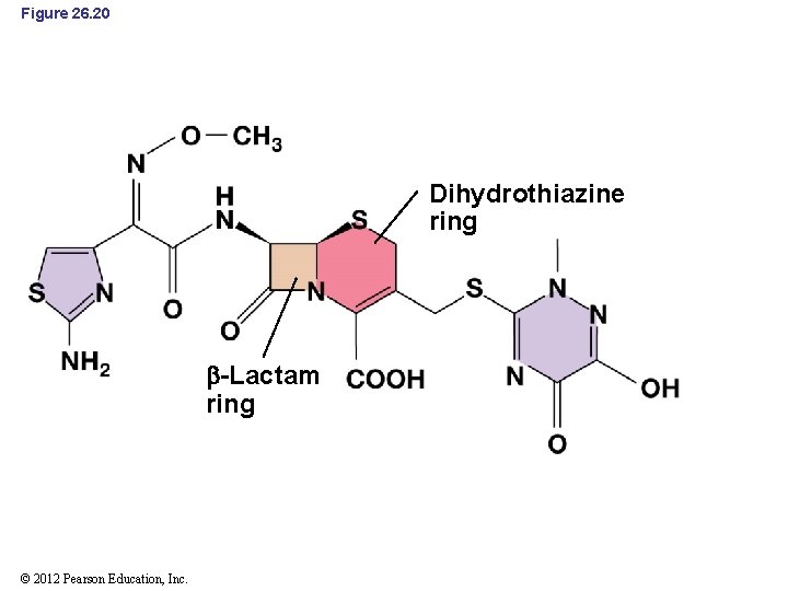 Figure 26. 20 Dihydrothiazine ring -Lactam ring © 2012 Pearson Education, Inc. 