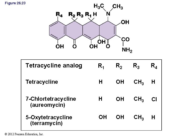 Figure 26. 23 Tetracycline analog R 1 R 2 R 3 R 4 Tetracycline