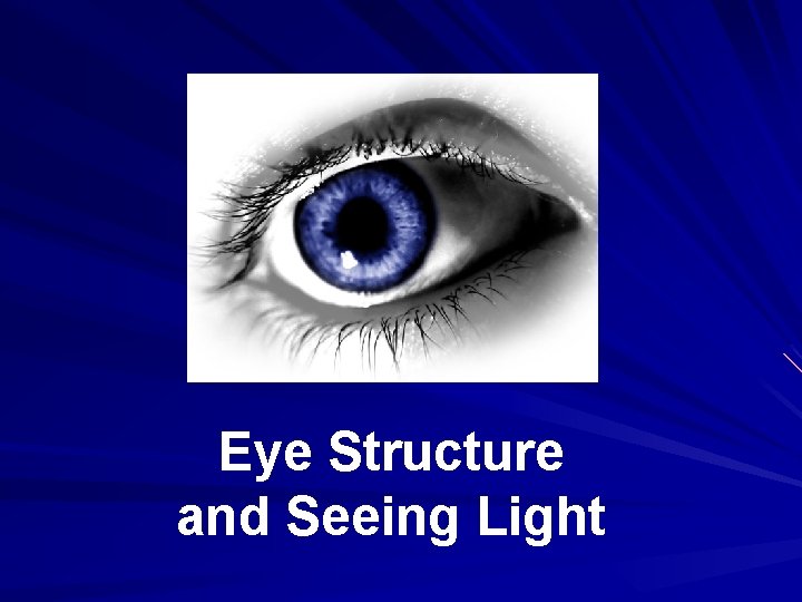 Eye Structure and Seeing Light 