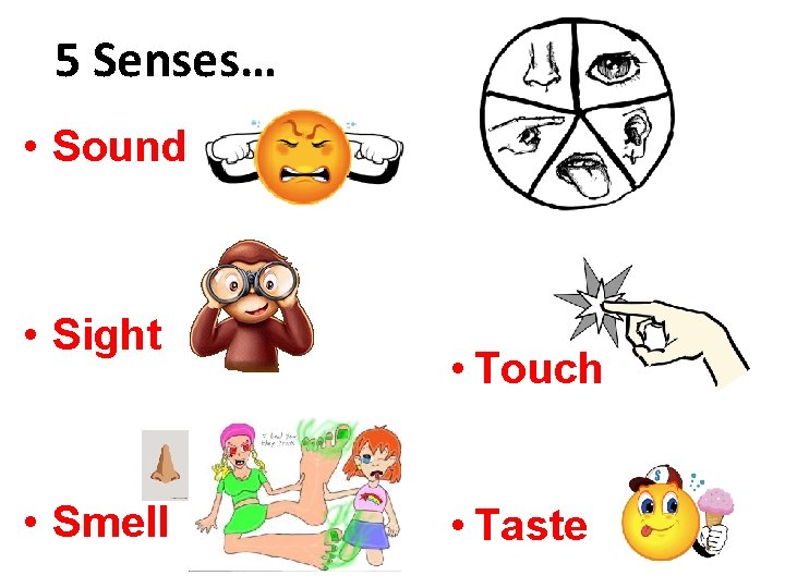 5 Senses… • Sound • Sight • Smell • Touch • Taste 