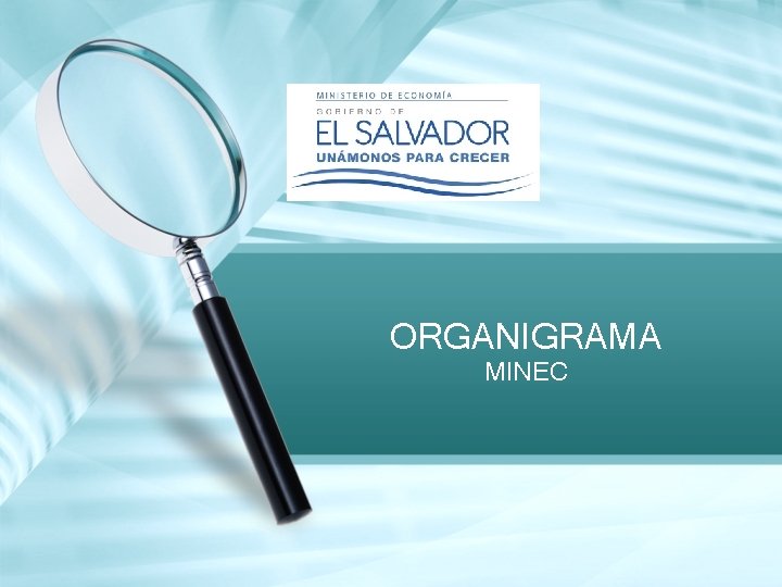 ORGANIGRAMA MINEC ORGANIGRAMA MINEC