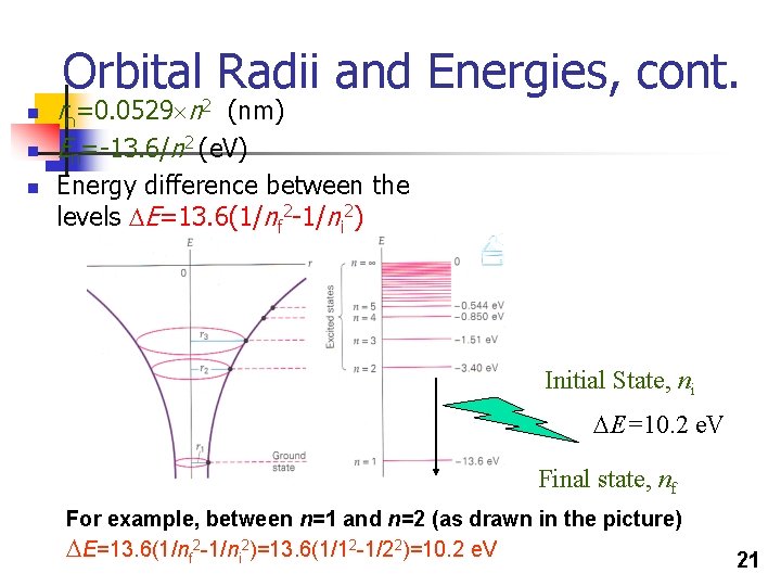 Orbital Radii and Energies, cont. n n n rn=0. 0529 n 2 (nm) En=-13. Orbital Radii and Energies, cont. n n n rn=0. 0529 n 2 (nm) En=-13.