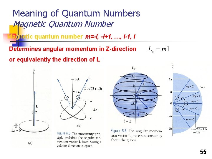 Meaning of Quantum Numbers Magnetic Quantum Number Magnetic quantum number m=-l, -l+1, …, l-1, Meaning of Quantum Numbers Magnetic Quantum Number Magnetic quantum number m=-l, -l+1, …, l-1,