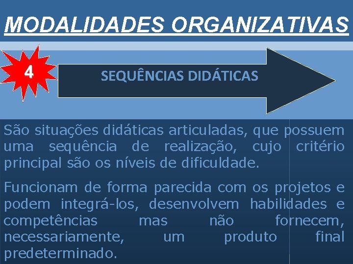 Modalidades organizativas Marta Maria Salmazo Eliza Redondo Ferreira