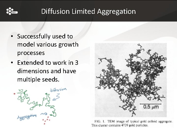 Diffusion Limited Aggregation • Successfully used to model various growth processes • Extended to