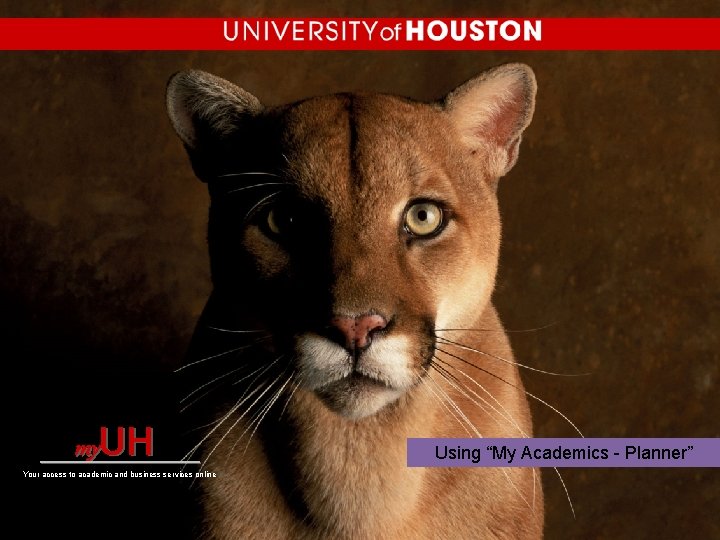 UH my ________ Your access to academic and business services online Using “My Academics