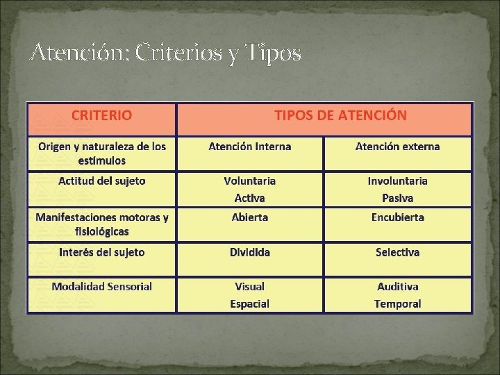Atención: Criterios y Tipos 