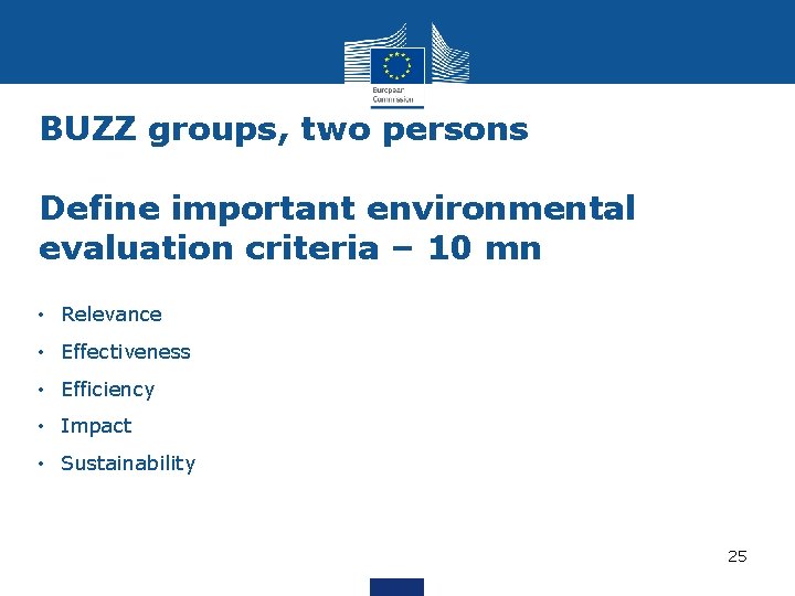 BUZZ groups, two persons Define important environmental evaluation criteria – 10 mn • Relevance