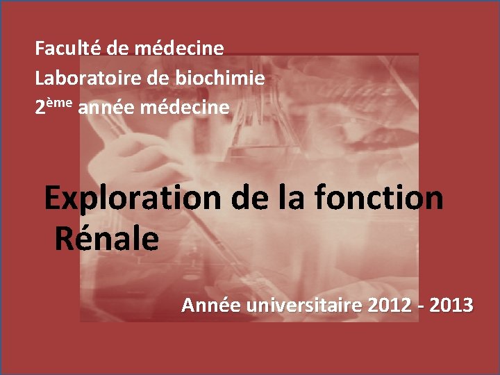 Faculté de médecine Laboratoire de biochimie 2ème année médecine Exploration de la fonction Rénale