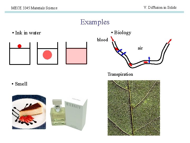 V. Diffusion in Solids MECE 3345 Materials Science Examples • Biology • Ink in