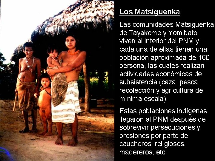 Los Matsiguenka Las comunidades Matsiguenka de Tayakome y Yomibato viven al interior del PNM