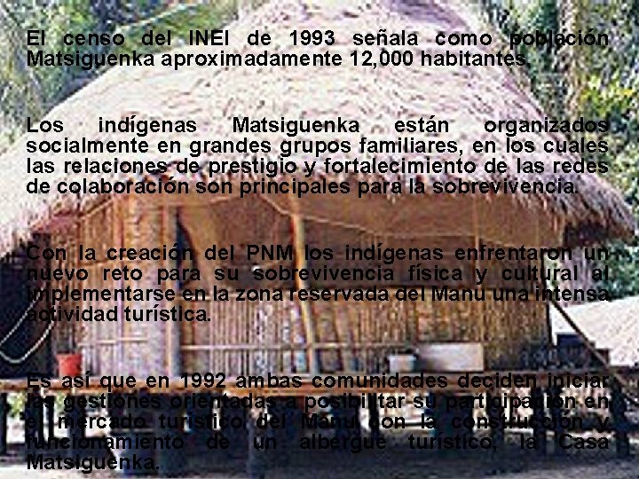 El censo del INEI de 1993 señala como población Matsiguenka aproximadamente 12, 000 habitantes.