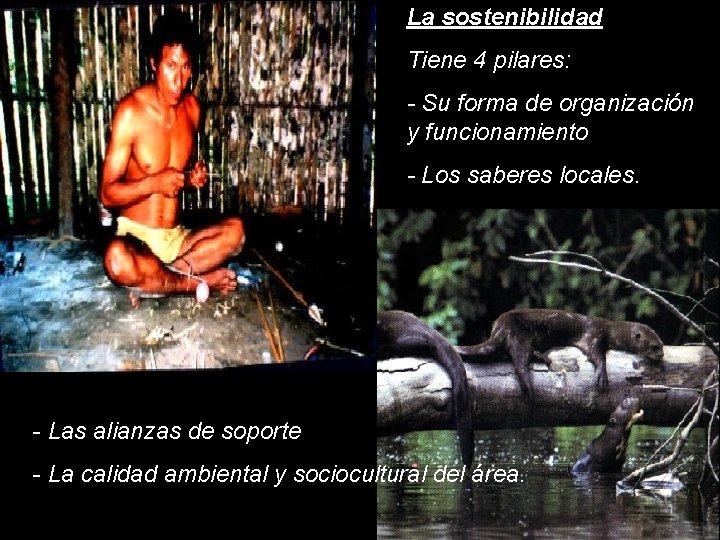 La sostenibilidad Tiene 4 pilares: - Su forma de organización y funcionamiento - Los