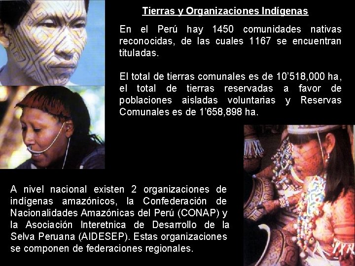 Tierras y Organizaciones Indígenas En el Perú hay 1450 comunidades nativas reconocidas, de las