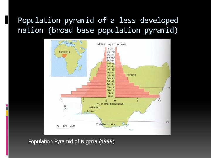 Population pyramid of a less developed nation (broad base population pyramid) Population Pyramid of Population pyramid of a less developed nation (broad base population pyramid) Population Pyramid of