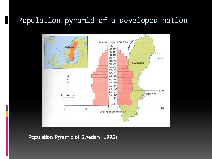 Population pyramid of a developed nation Population Pyramid of Sweden (1995) Population pyramid of a developed nation Population Pyramid of Sweden (1995)
