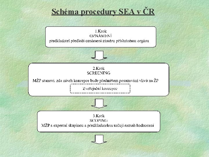 Schéma procedury SEA v ČR 