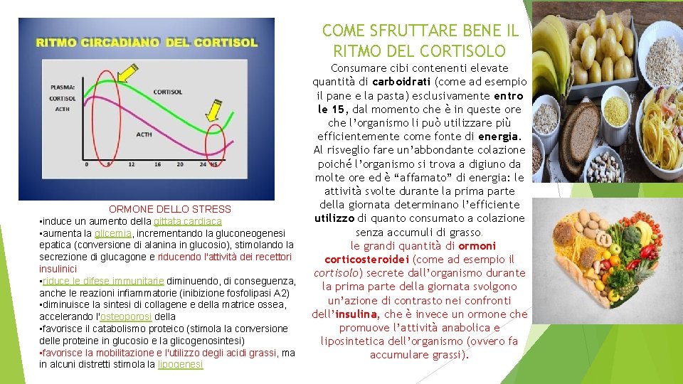 COME SFRUTTARE BENE IL RITMO DEL CORTISOLO ORMONE DELLO STRESS • induce un aumento