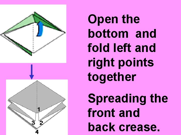 Open the bottom and fold left and right points together Spreading the front and