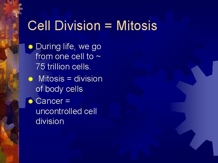 Cell Division = Mitosis ® During life, we go from one cell to ~