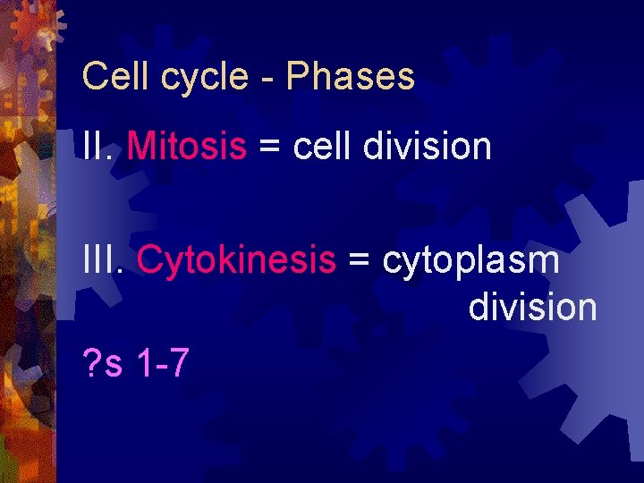 Cell cycle - Phases II. Mitosis = cell division III. Cytokinesis = cytoplasm division