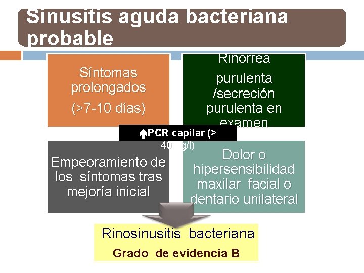 Sinusitis aguda bacteriana probable Síntomas prolongados (>7 -10 días) Rinorrea purulenta /secreción purulenta en