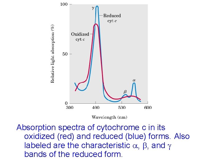 Absorption spectra of cytochrome c in its oxidized (red) and reduced (blue) forms. Also Absorption spectra of cytochrome c in its oxidized (red) and reduced (blue) forms. Also