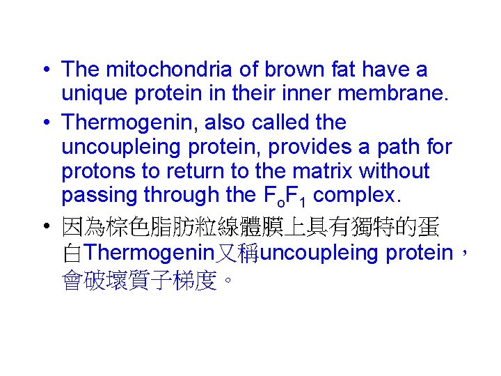 • The mitochondria of brown fat have a unique protein in their inner • The mitochondria of brown fat have a unique protein in their inner
