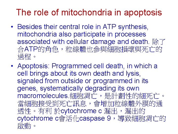 The role of mitochondria in apoptosis • Besides their central role in ATP synthesis, The role of mitochondria in apoptosis • Besides their central role in ATP synthesis,