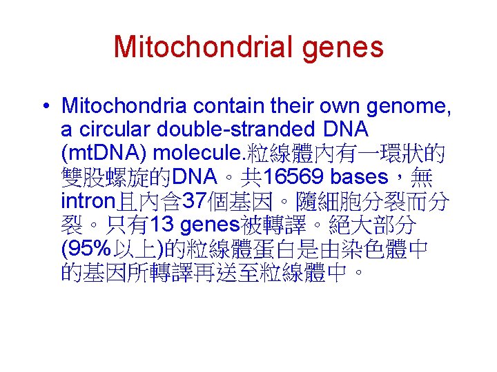 Mitochondrial genes • Mitochondria contain their own genome, a circular double-stranded DNA (mt. DNA) Mitochondrial genes • Mitochondria contain their own genome, a circular double-stranded DNA (mt. DNA)