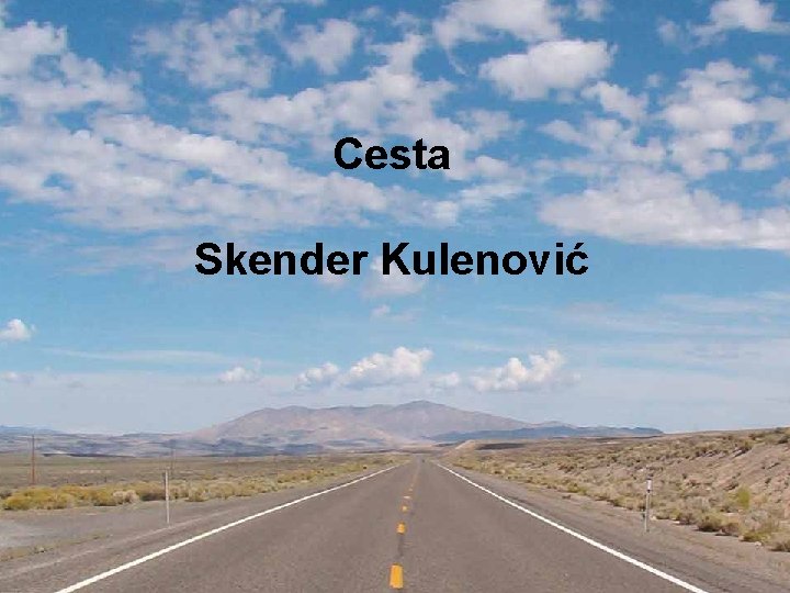 Cesta Skender Kulenović 
