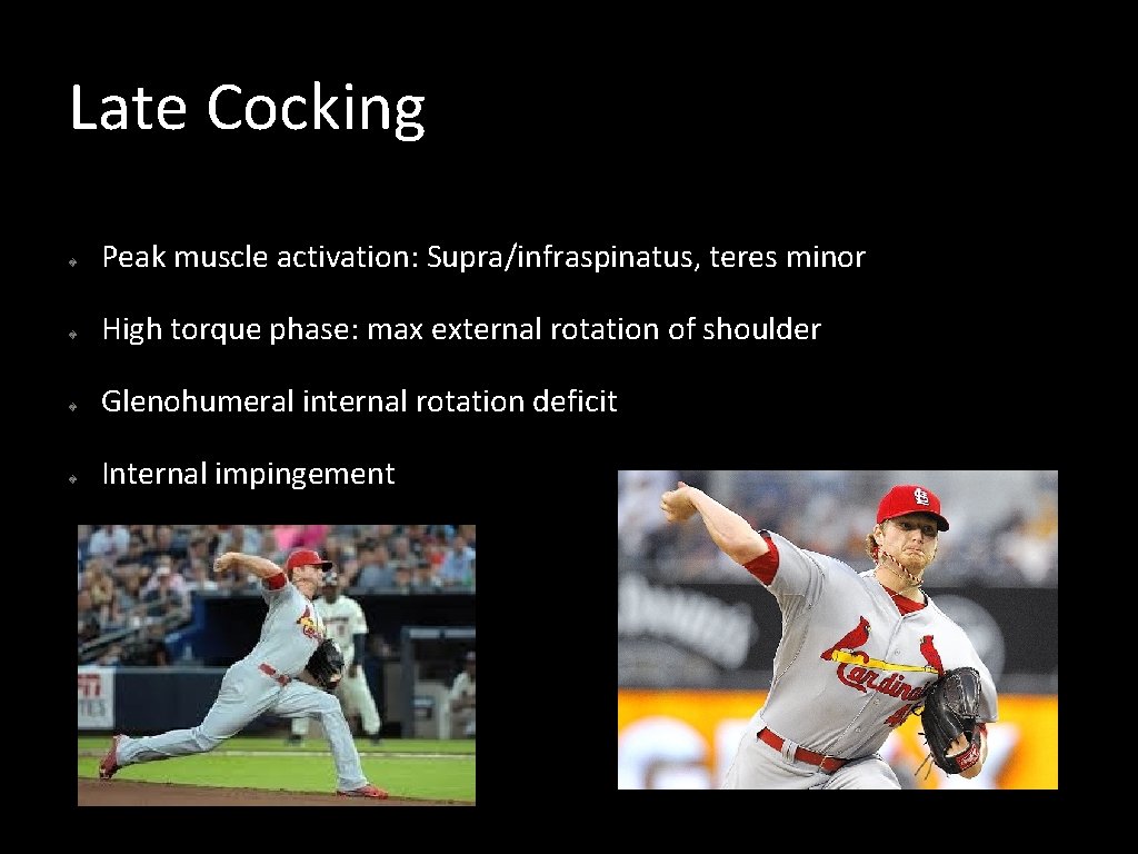 Late Cocking Peak muscle activation: Supra/infraspinatus, teres minor High torque phase: max external rotation