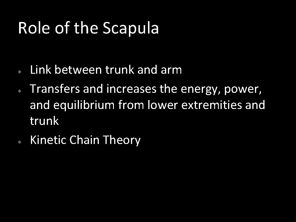 Role of the Scapula Link between trunk and arm Transfers and increases the energy,