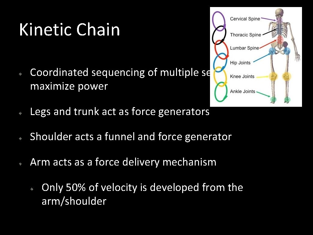 Kinetic Chain Coordinated sequencing of multiple segments to maximize power Legs and trunk act