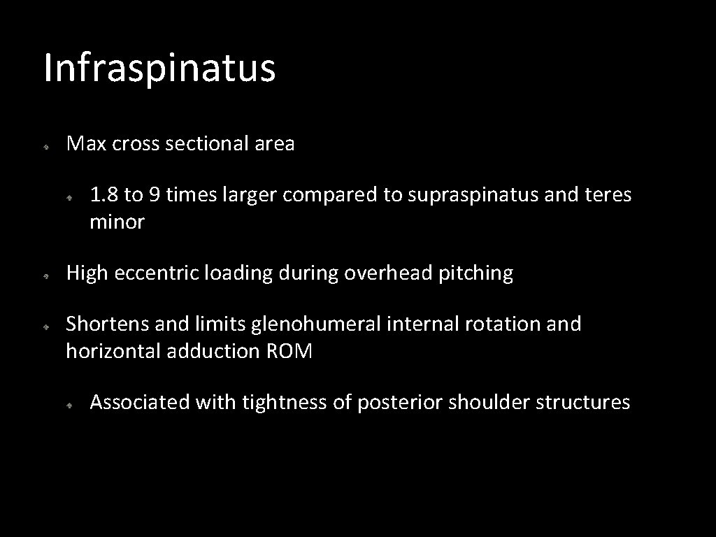 Infraspinatus Max cross sectional area 1. 8 to 9 times larger compared to supraspinatus