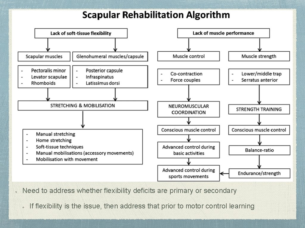 Need to address whether flexibility deficits are primary or secondary If flexibility is the