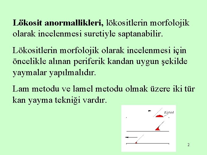 Lökosit anormallikleri, lökositlerin morfolojik olarak incelenmesi suretiyle saptanabilir. Lökositlerin morfolojik olarak incelenmesi için öncelikle