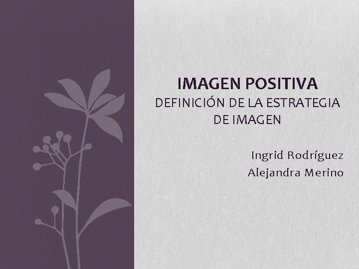 IMAGEN POSITIVA DEFINICIÓN DE LA ESTRATEGIA DE IMAGEN Ingrid Rodríguez Alejandra Merino 