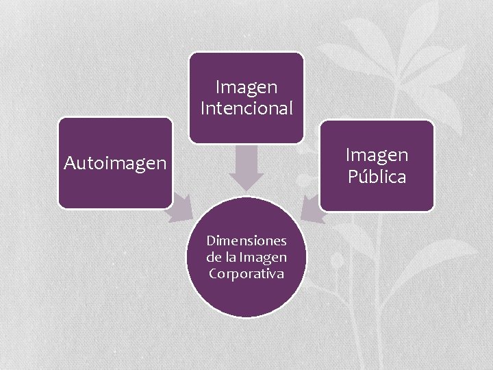 Imagen Intencional Imagen Pública Autoimagen Dimensiones de la Imagen Corporativa 