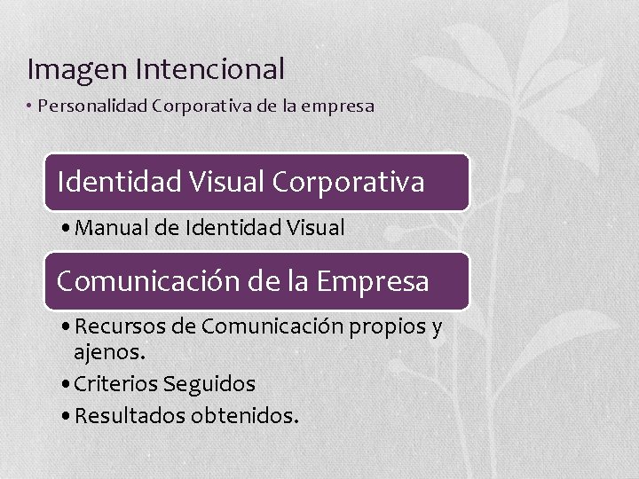 Imagen Intencional • Personalidad Corporativa de la empresa Identidad Visual Corporativa • Manual de