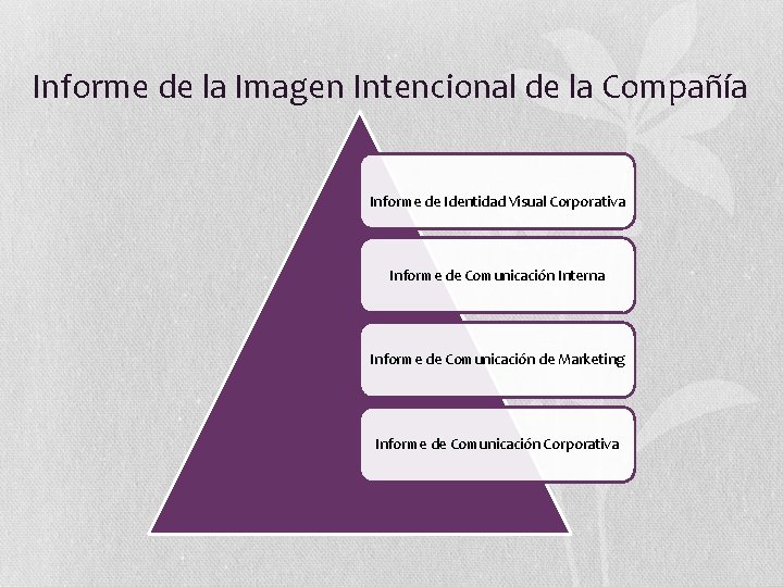 Informe de la Imagen Intencional de la Compañía Informe de Identidad Visual Corporativa Informe