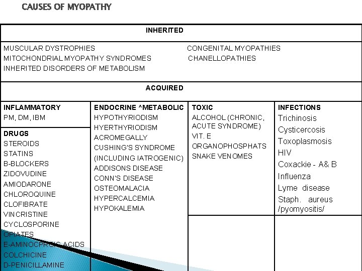 CAUSES OF MYOPATHY INHERITED MUSCULAR DYSTROPHIES MITOCHONDRIAL MYOPATHY SYNDROMES INHERITED DISORDERS OF METABOLISM CONGENITAL CAUSES OF MYOPATHY INHERITED MUSCULAR DYSTROPHIES MITOCHONDRIAL MYOPATHY SYNDROMES INHERITED DISORDERS OF METABOLISM CONGENITAL