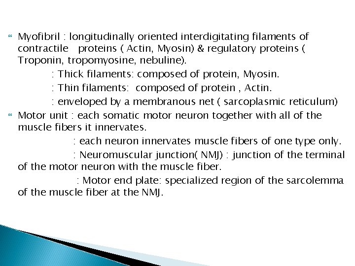 Myofibril : longitudinally oriented interdigitating filaments of contractile proteins ( Actin, Myosin) & Myofibril : longitudinally oriented interdigitating filaments of contractile proteins ( Actin, Myosin) &