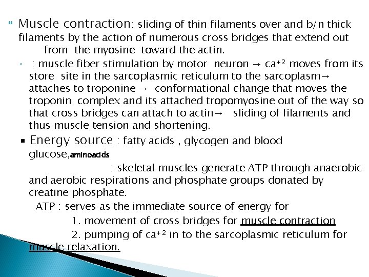 Muscle contraction: sliding of thin filaments over and b/n thick filaments by the Muscle contraction: sliding of thin filaments over and b/n thick filaments by the