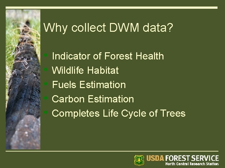 Why collect DWM data? • • • Indicator of Forest Health Wildlife Habitat Fuels