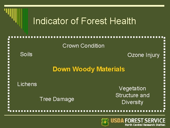 Indicator of Forest Health Crown Condition Soils Ozone Injury Down Woody Materials Lichens Tree