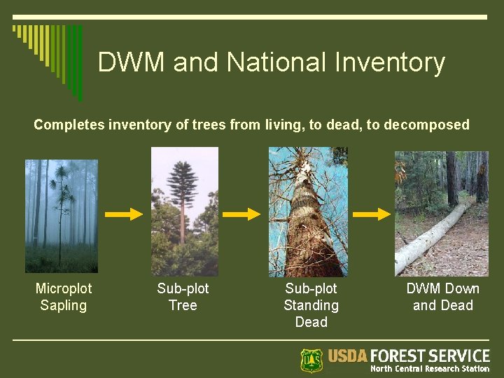 DWM and National Inventory Completes inventory of trees from living, to dead, to decomposed