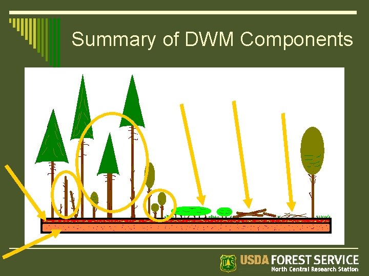 Summary of DWM Components 
