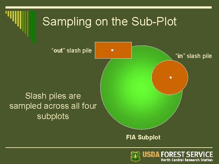 Sampling on the Sub-Plot “out” slash pile “in” slash pile Slash piles are sampled